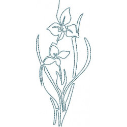 Stickdatei - Garden Flowers Lineart 3 Iris